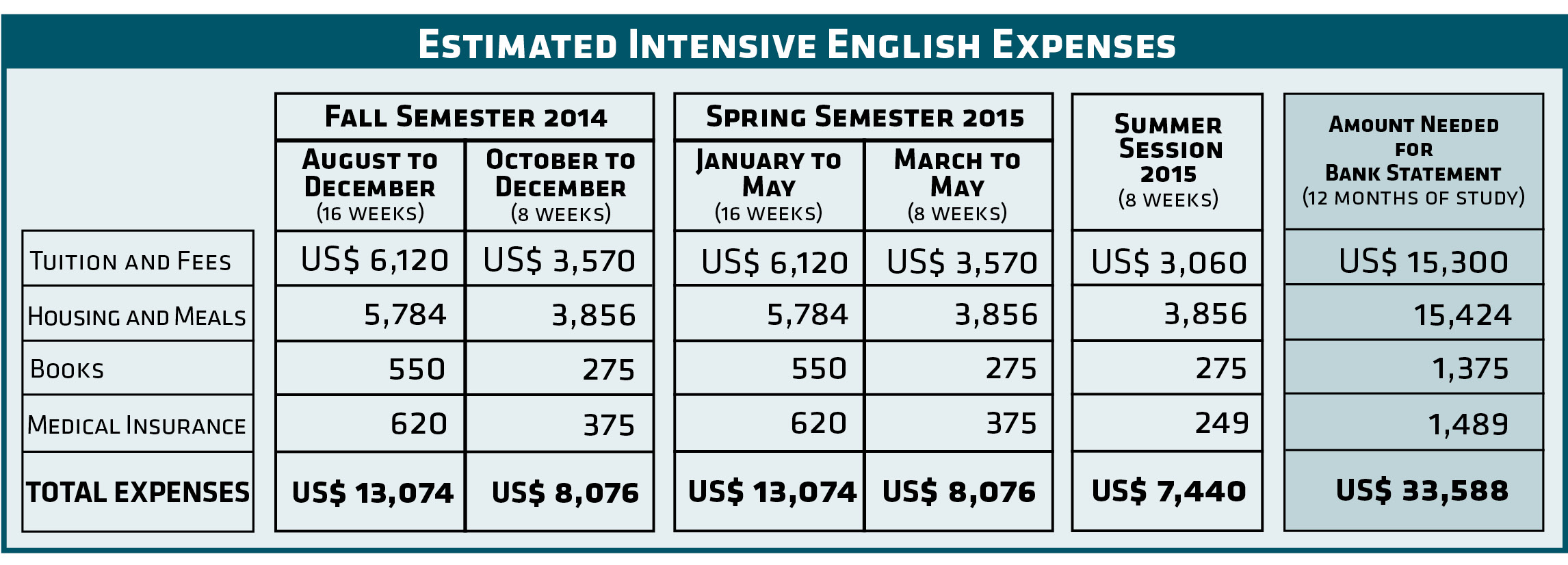 IE Expenses Table