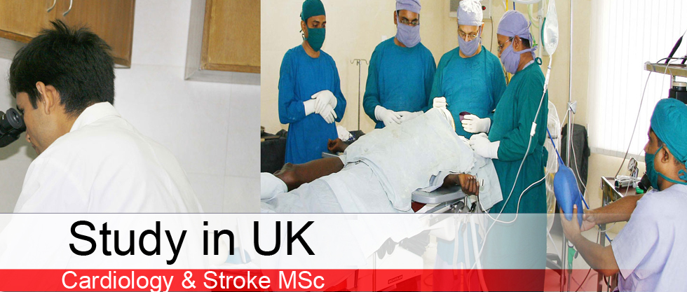 Cardiology & Stroke MSc
